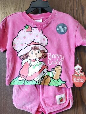 Strawberry Shortcake Pink Outfit Size 2T